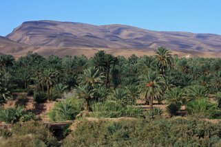 Vallée du Drâa Maroc 2011