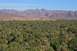 Vallée du Drâa Maroc 2011