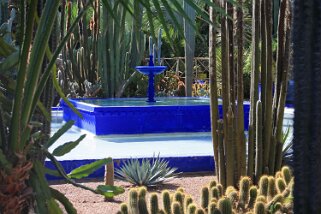 Jardin Majorelle - Marrakech Maroc 2011