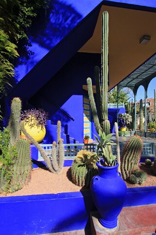 Jardin Majorelle - Marrakech Maroc 2011