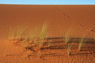 Merzouga - Erg Chebbi Maroc 2011