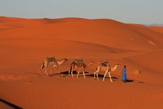 Merzouga - Erg Chebbi Maroc 2011