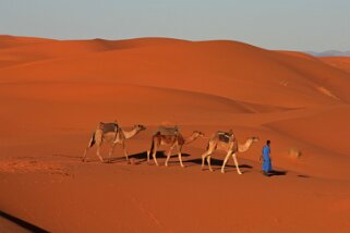 Merzouga - Erg Chebbi Maroc 2011