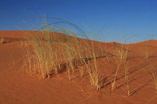 Merzouga - Erg Chebbi Maroc 2011