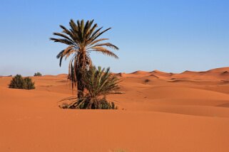 Merzouga - Erg Chebbi Maroc 2011