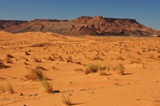 Erg Ouzina Maroc 2011