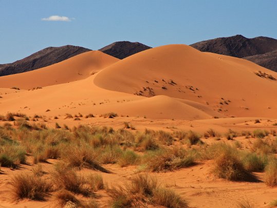 Ouzina - Maerch Maroc