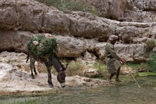 Wadi Shab Oman 2011