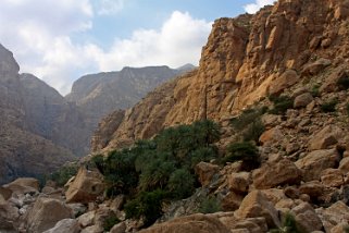 2011 Wadi Tiwi