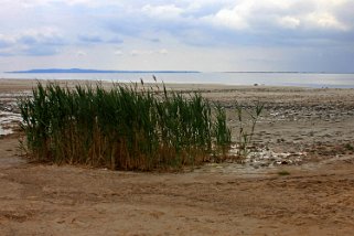 2012 Tuz Gölü
