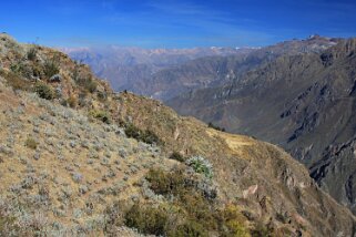 Cañon del Colca Pérou 2012