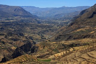 Cañon del Colca Pérou 2012