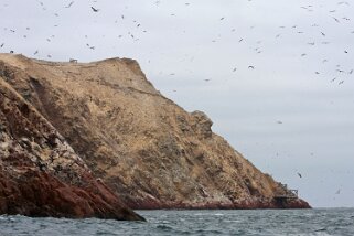 Islas Ballestas Pérou 2012