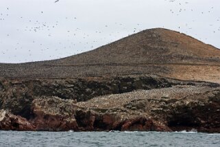 Islas Ballestas Pérou 2012