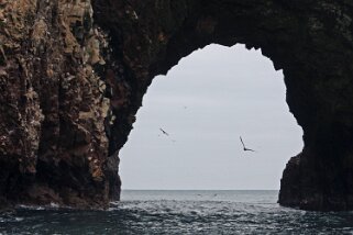 Islas Ballestas Pérou 2012