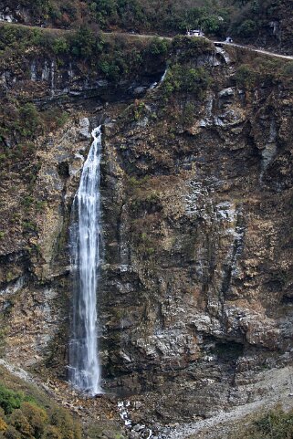 Parc National de Trumshing Bhoutan 2013