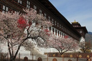 Dzong de Taschichho - Thimphu Bhoutan 2013