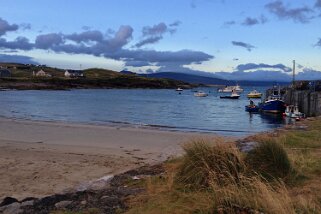 Fawnglass - Clare Island Irlande 2013