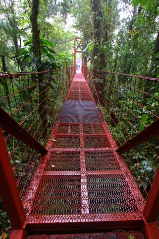 Reserva Biologica del Bosque Nuboso - Monteverde Costa Rica 2014