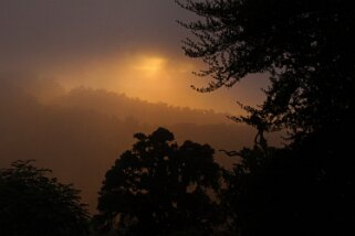 2014 Parque Nacional Los Quetzales