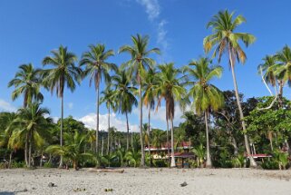 2014 Parque Nacional Manuel Antonio - Quepos