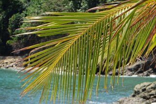 Parque Nacional Manuel Antonio Costa Rica 2014