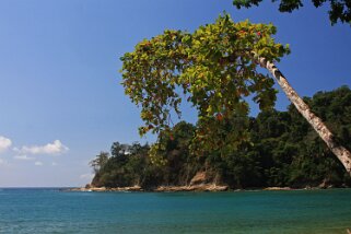 Parque Nacional Manuel Antonio Costa Rica 2014