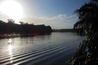 2014 Parque Nacional Tortuguero