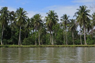 Parque Nacional Tortuguero Costa Rica 2014