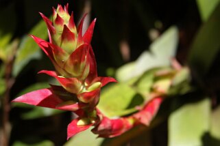 Parque Nacional Volcan Poas Costa Rica 2014