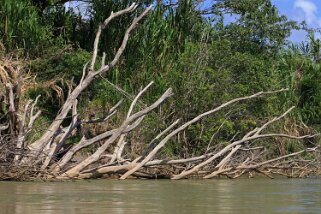 Rio Saraquipi Costa Rica 2014