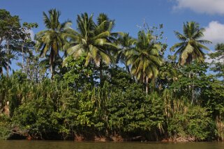 Rio San Juan Costa Rica 2014