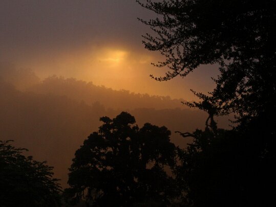 Parque Nacional Los Quetzales Costa Rica