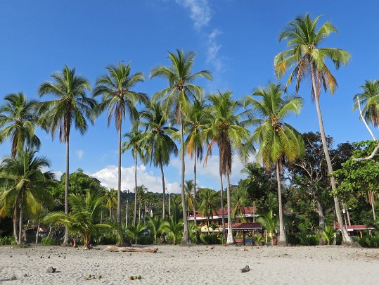 Parque Nacional Manuel Antonio - Quepos Costa Rica