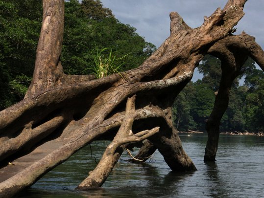 Rio San Juan Costa Rica