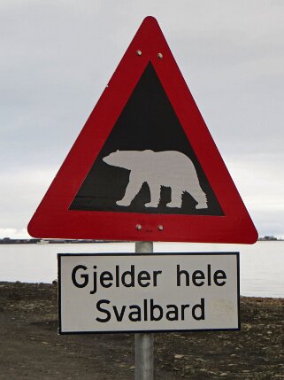 Longyearbyen - Spitzberg Svalbard 2014