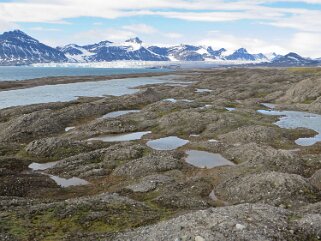 Sveabreen - Spitzberg Svalbard 2014