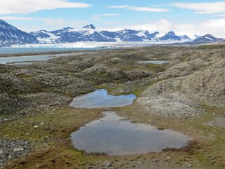 Sveabreen - Spitzberg Svalbard 2014