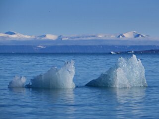 Nord-Fjorden - Spitzberg Svalbard 2014