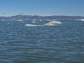 Nord-Fjorden - Spitzberg Svalbard 2014