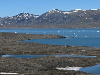 Muslingodfden - Spitzberg Svalbard 2014