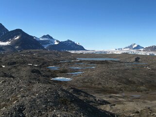 Muslingodfden - Spitzberg Svalbard 2014