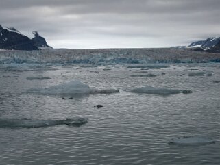 Sveabreen - Spitzberg Svalbard 2014