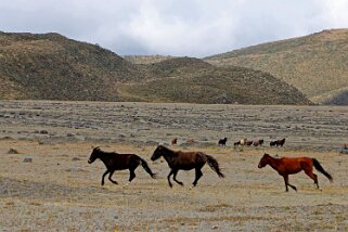 Parque Nacional Cotopaxi Equateur 2015