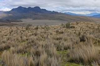 Parque Nacional Cotopaxi - Volcan Ruminahui 4712 m Equateur 2015