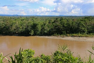 Rio Napo Equateur 2015