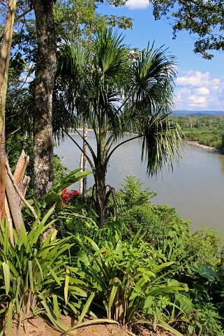 Rio Napo Equateur 2015