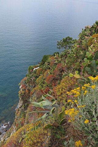 Cinque Terre Italie 2015