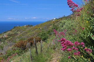 Cinque Terre Italie 2015