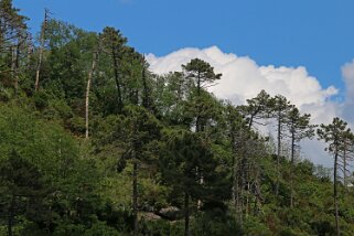 Parc Naturel de Portofino Italie 2015